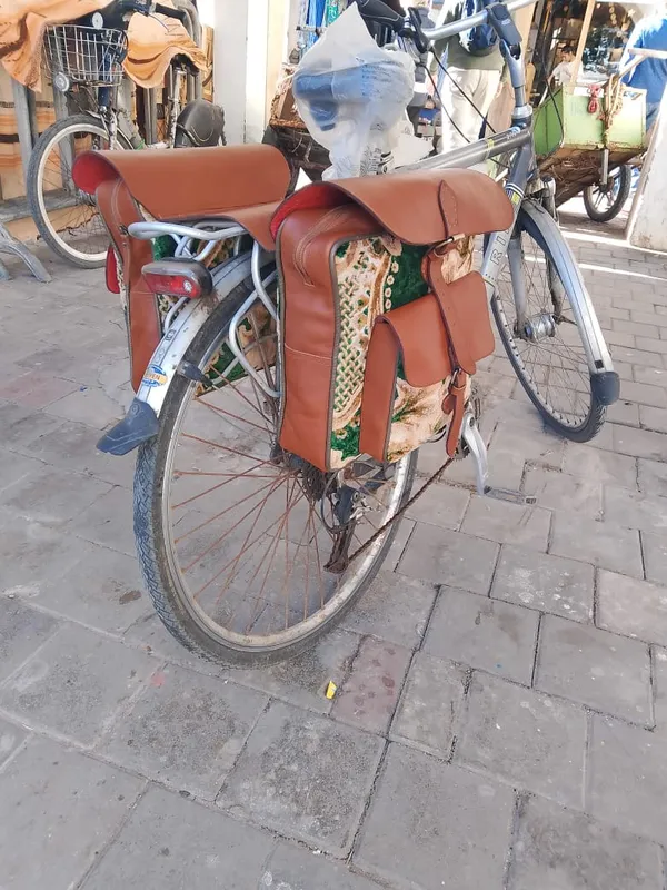 Paire de sacoches de vélo en cuir et velours